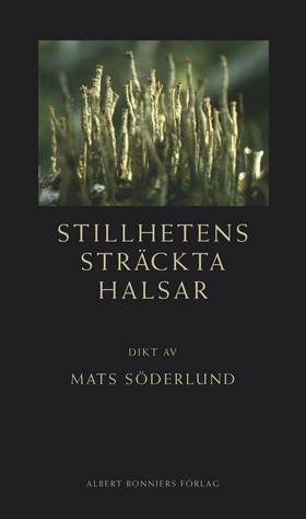 Stillhetens sträckta halsar