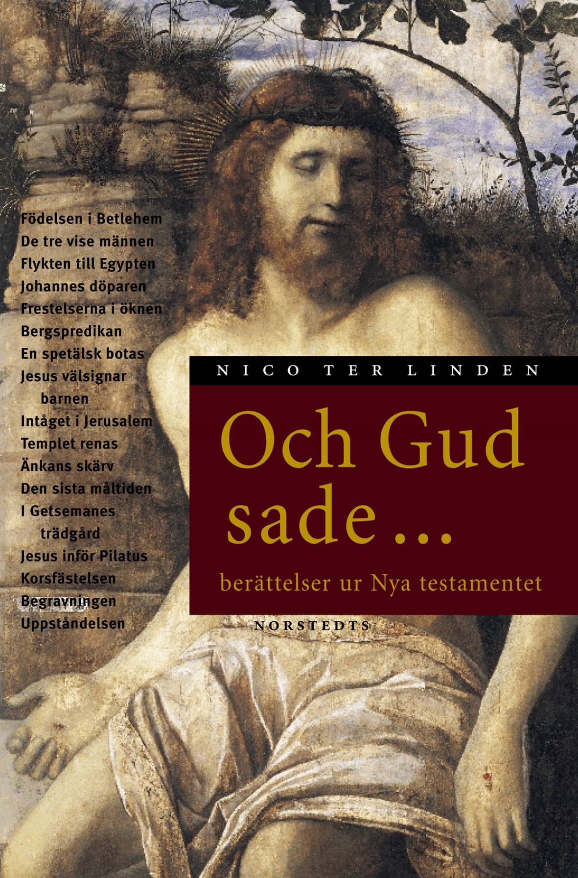 Och Gud sade- : Berättelser ur Nya testamentet