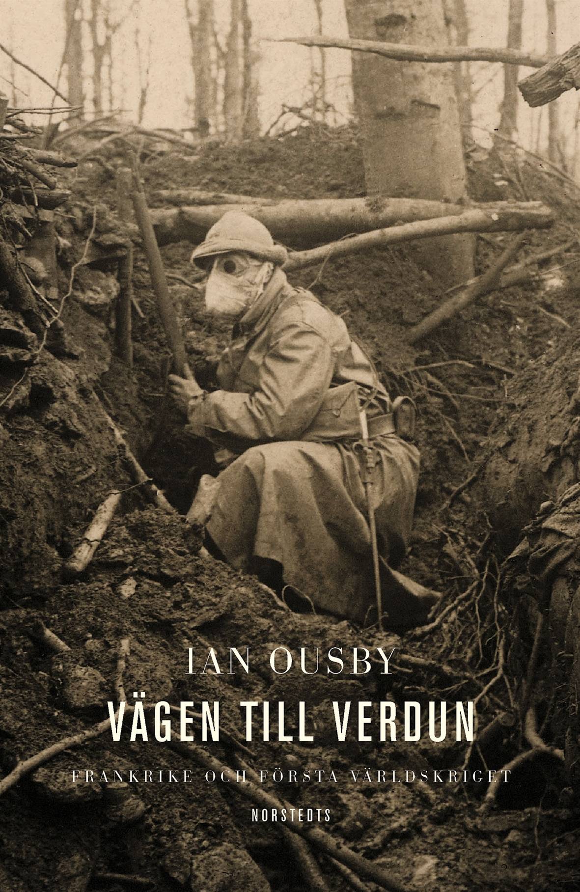 Vägen till Verdun : Frankrike och första världskriget