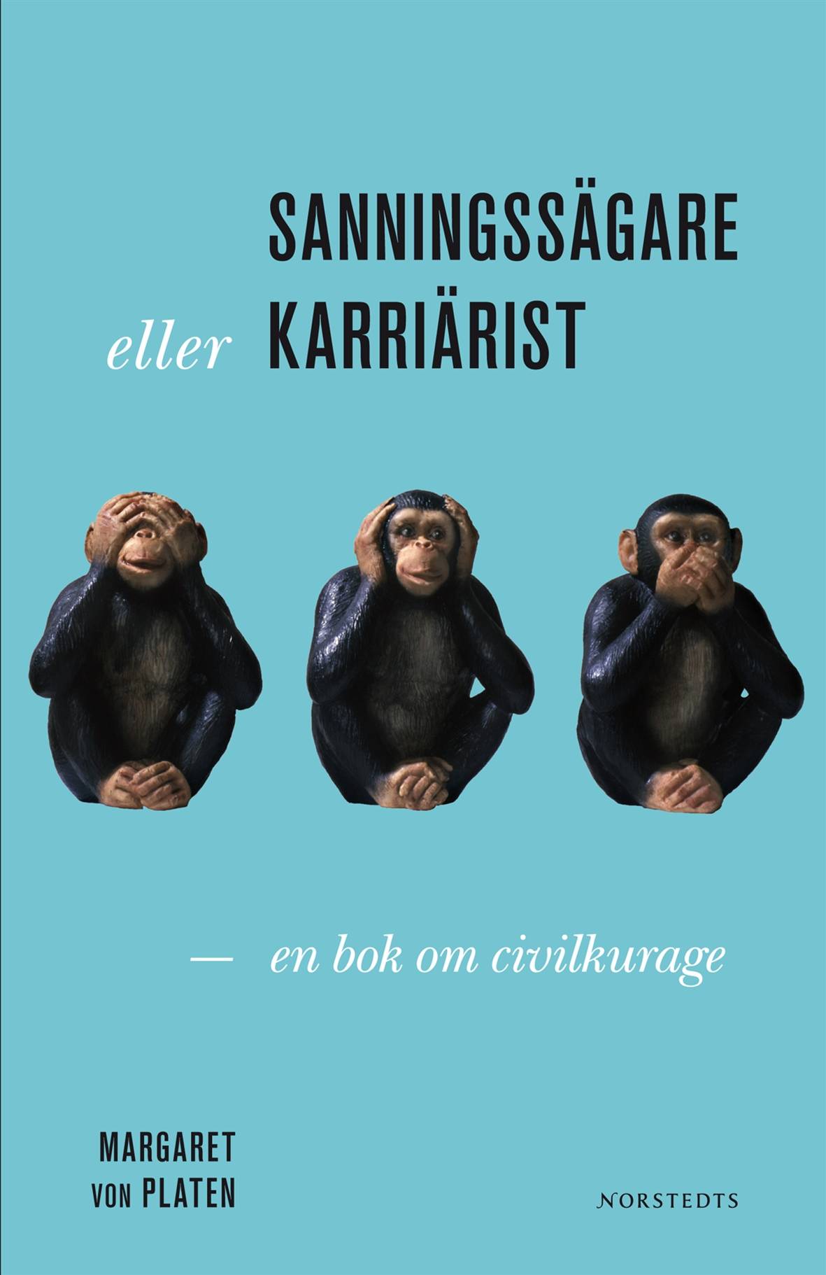 Sanningssägare eller karriärist : en bok om civilkurage
