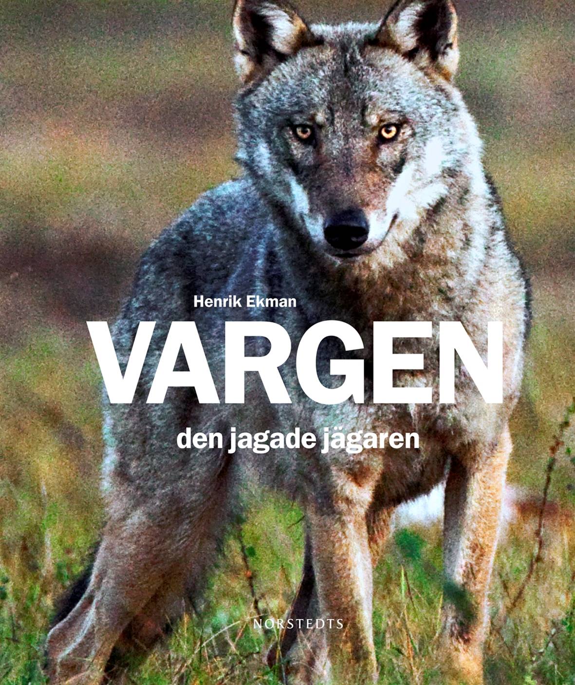 Vargen : den jagade jägaren