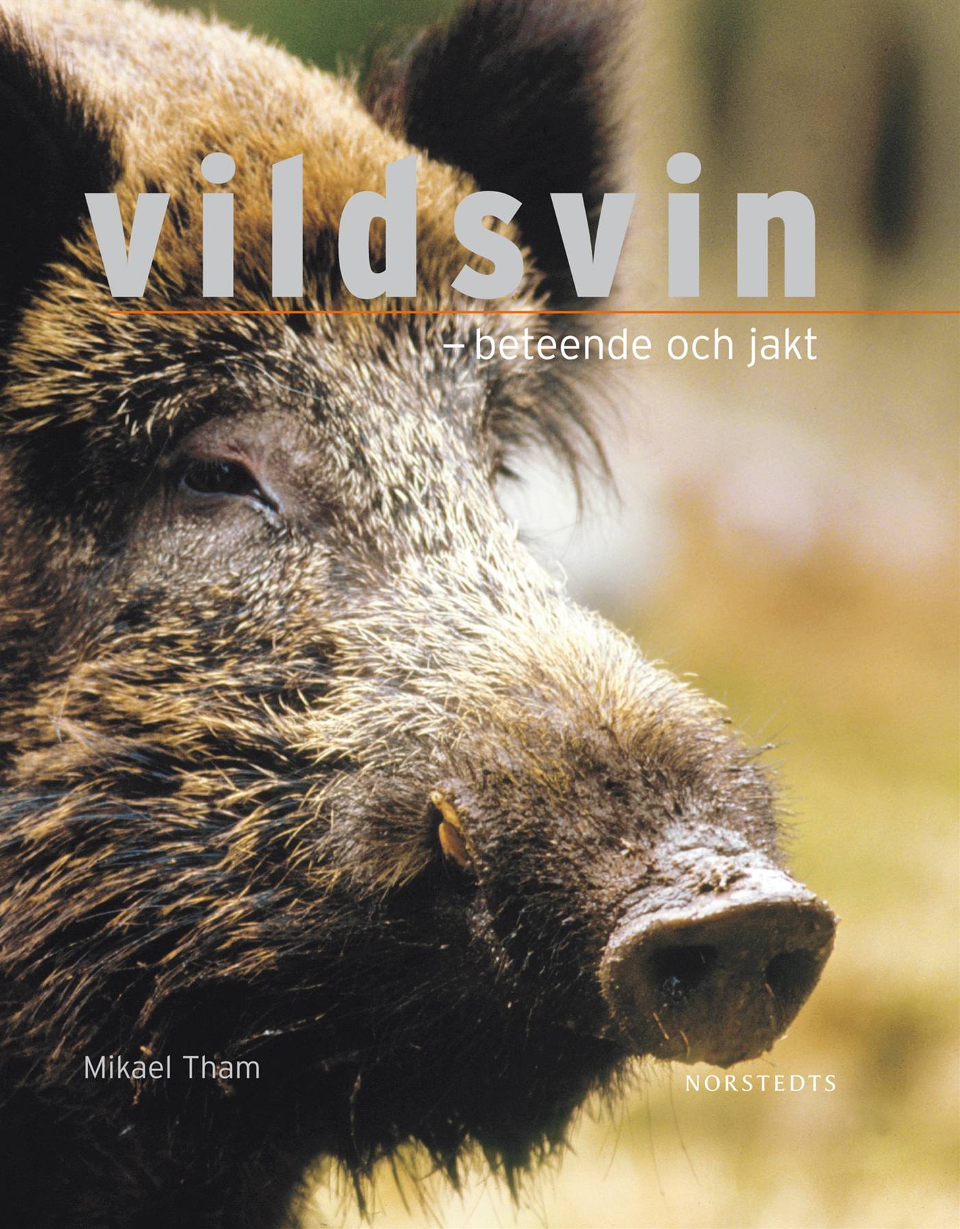 Vildsvin : beteende och jakt