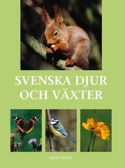 Svenska djur och växter