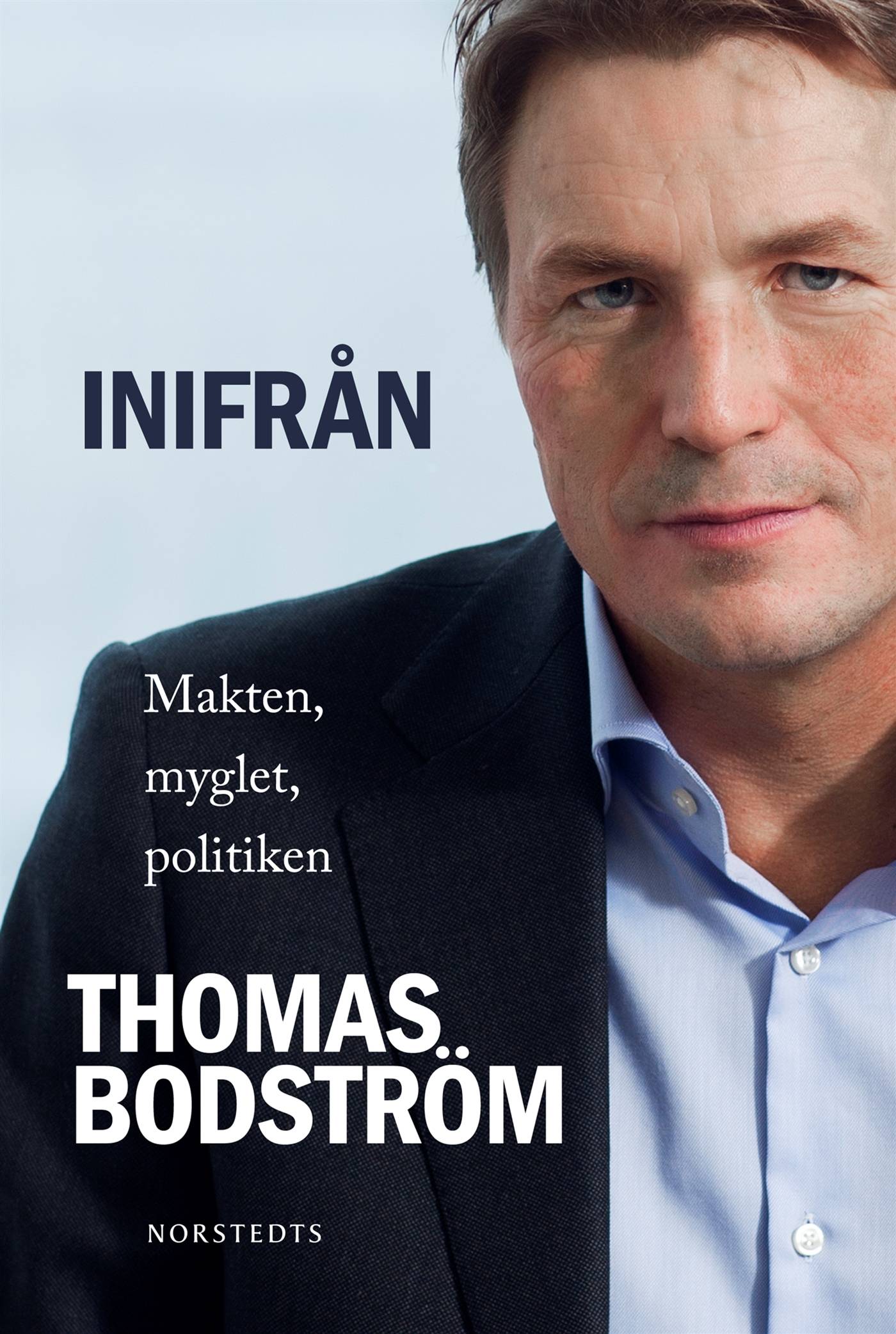 Inifrån : makten, myglet, politiken