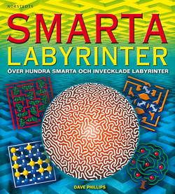 Smarta labyrinter : över hundra smarta och invecklade labyrinter