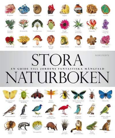 Stora naturboken : en guide till jordens fantastiska mångfald