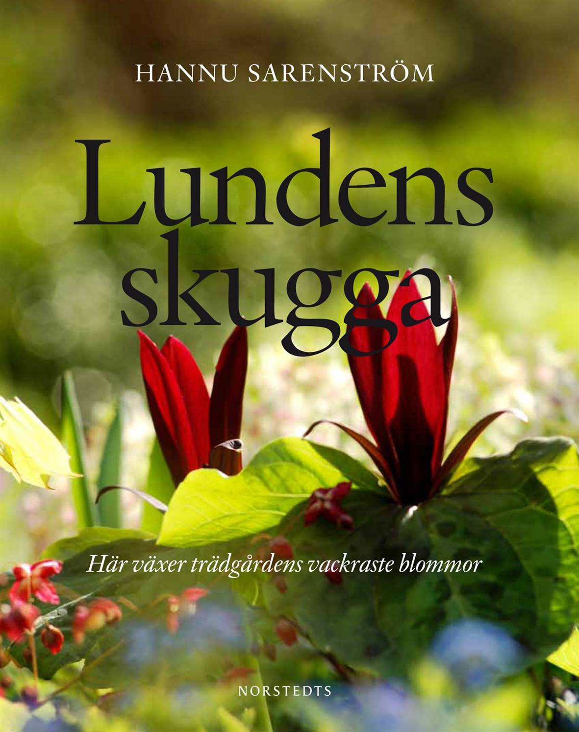 Lundens skugga : här växer trädgårdens vackraste blommor