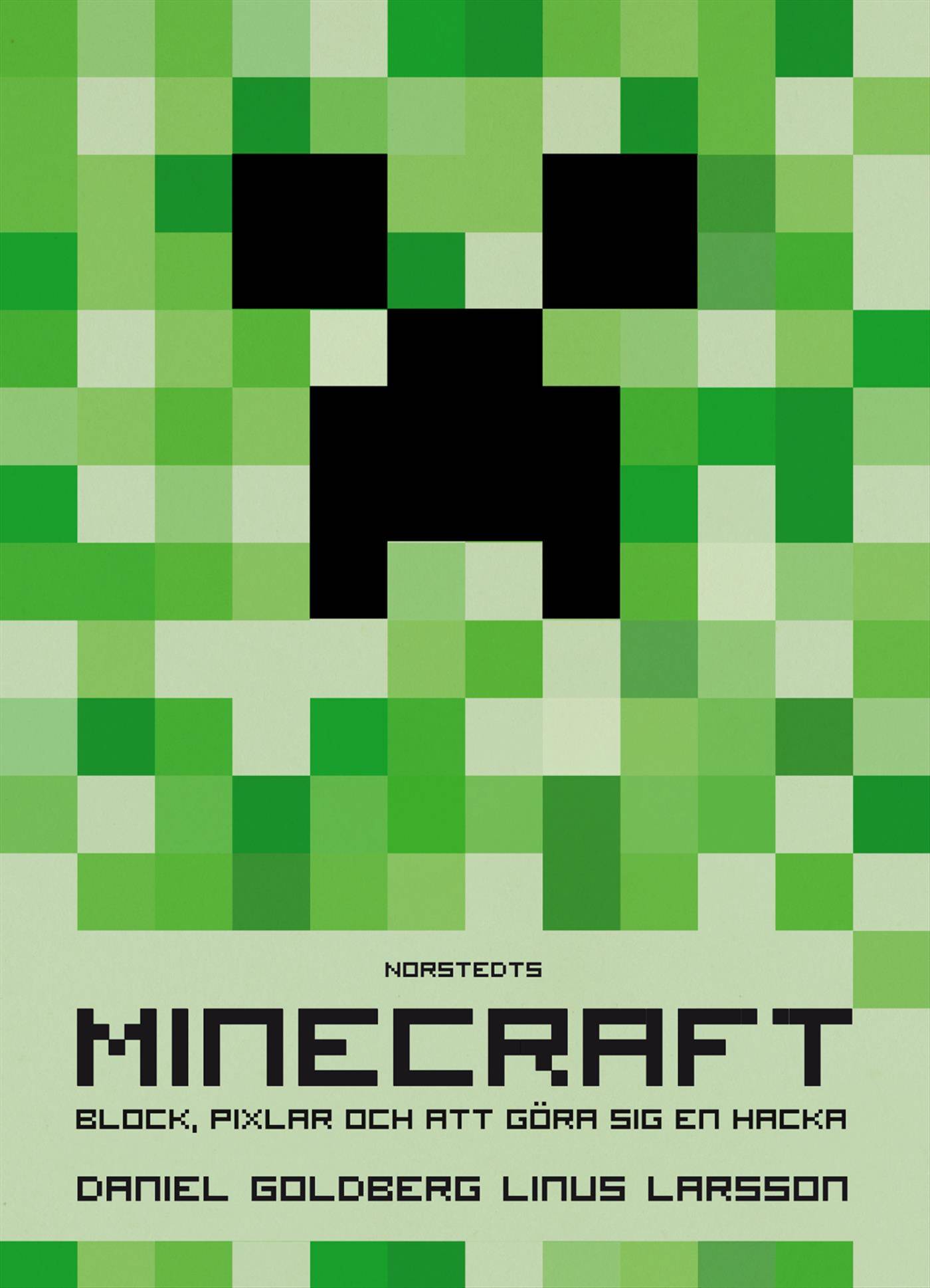 Minecraft : block, pixlar och att göra sig en hacka : historien om Markus 