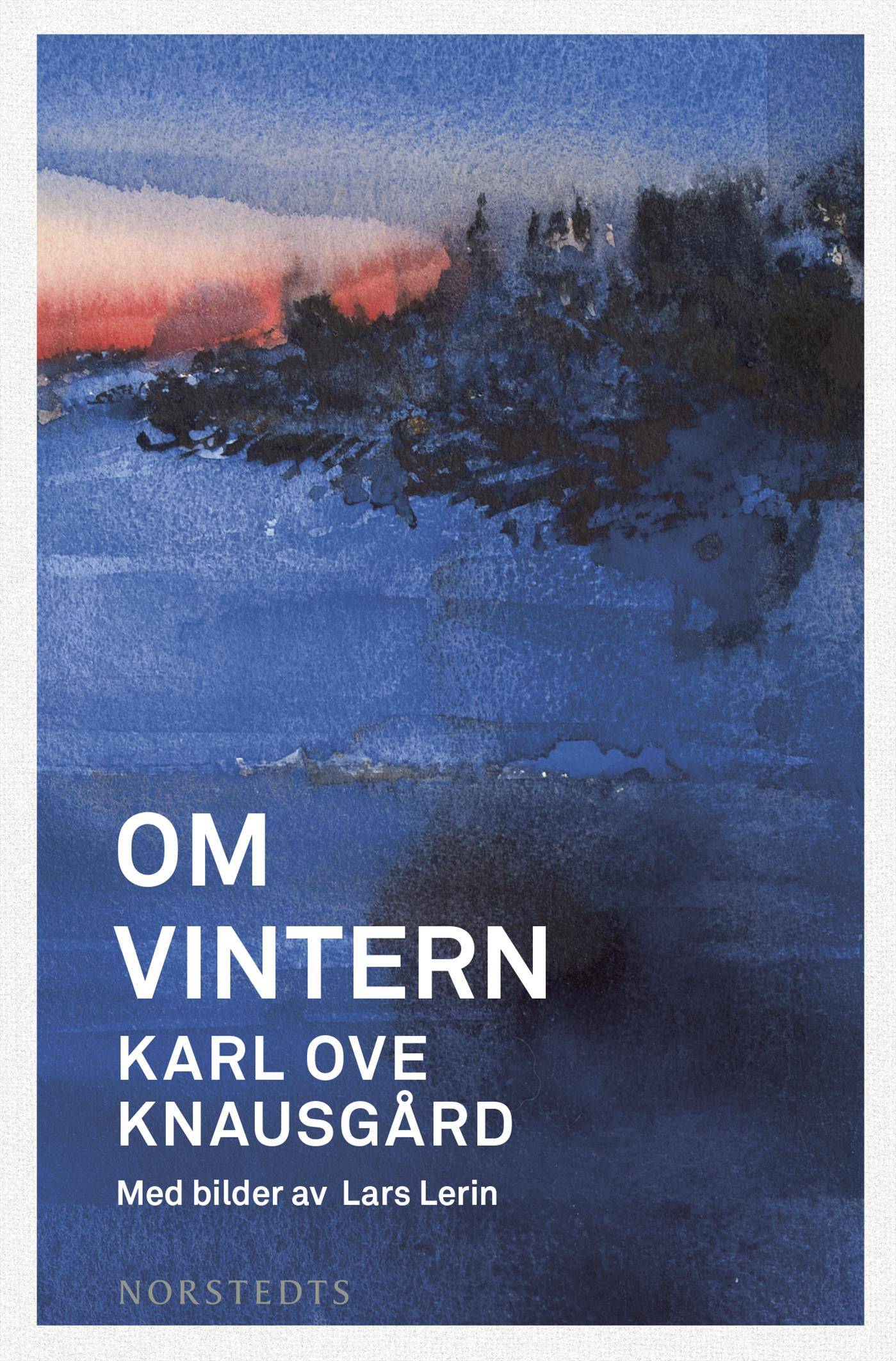 Om vintern