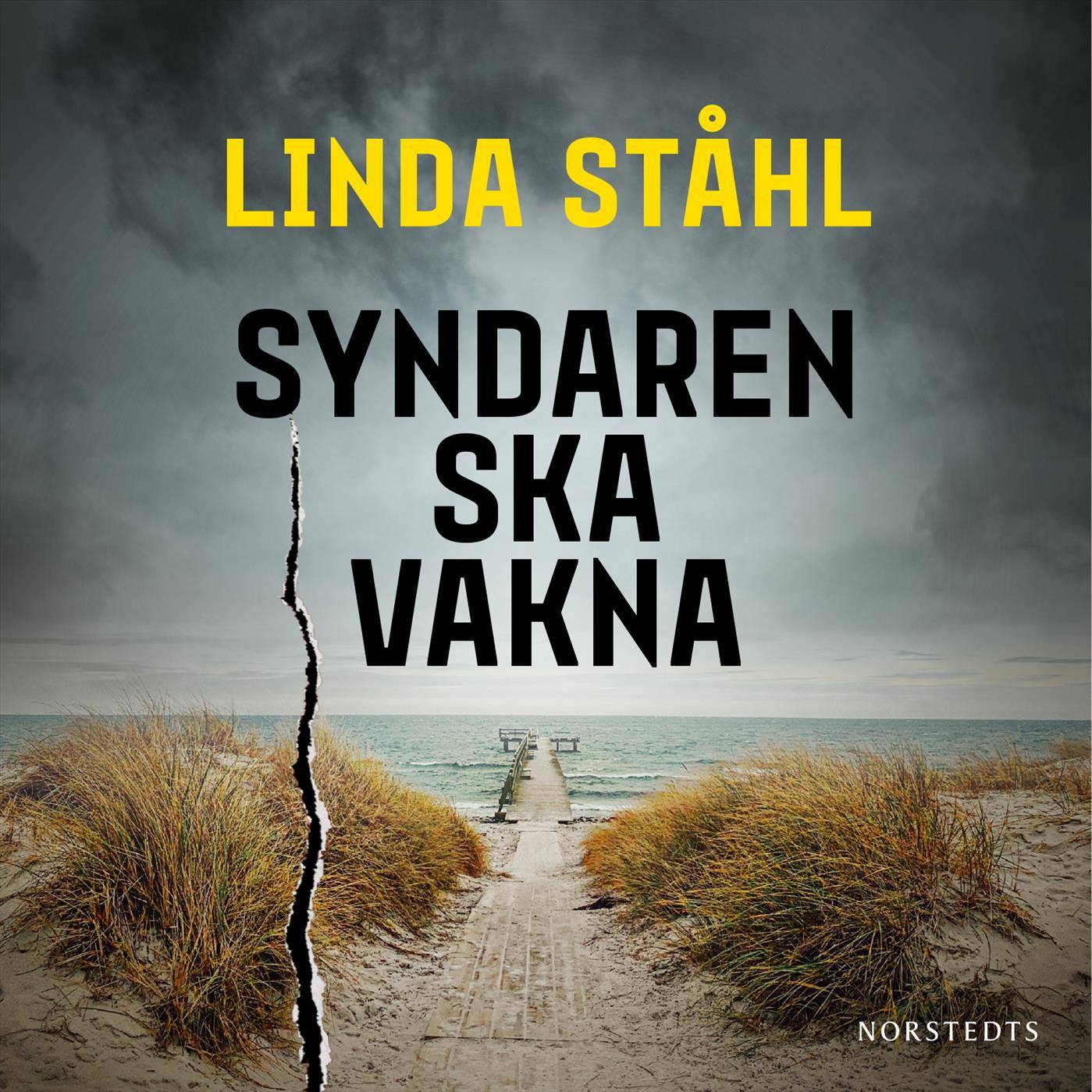 Syndaren ska vakna