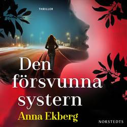 Den försvunna systern