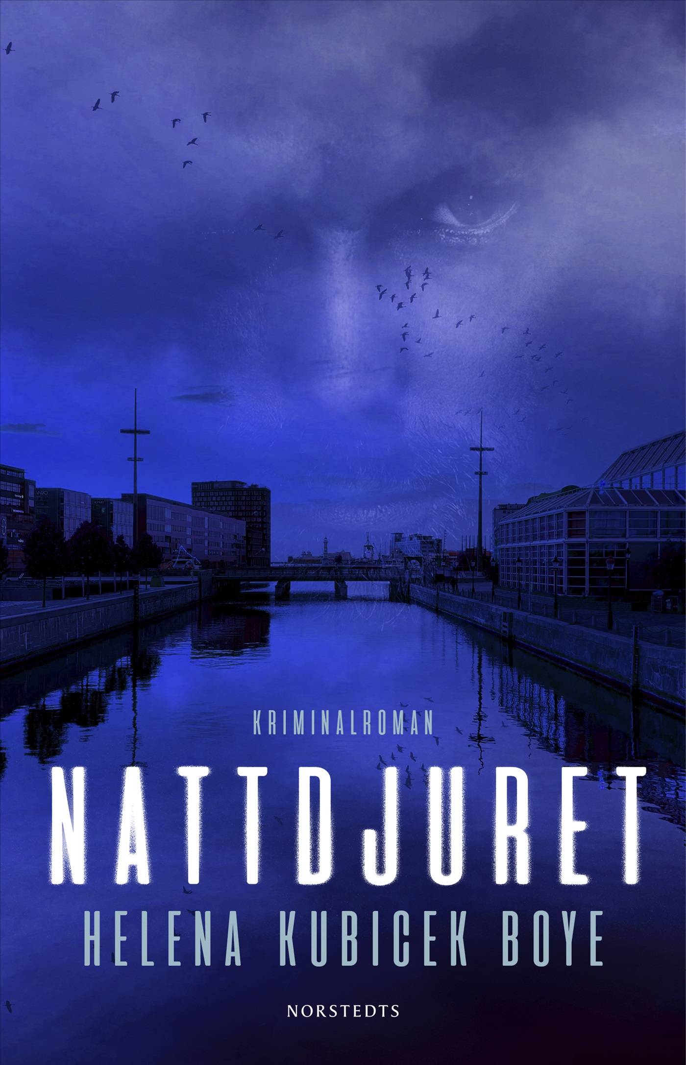 Nattdjuret