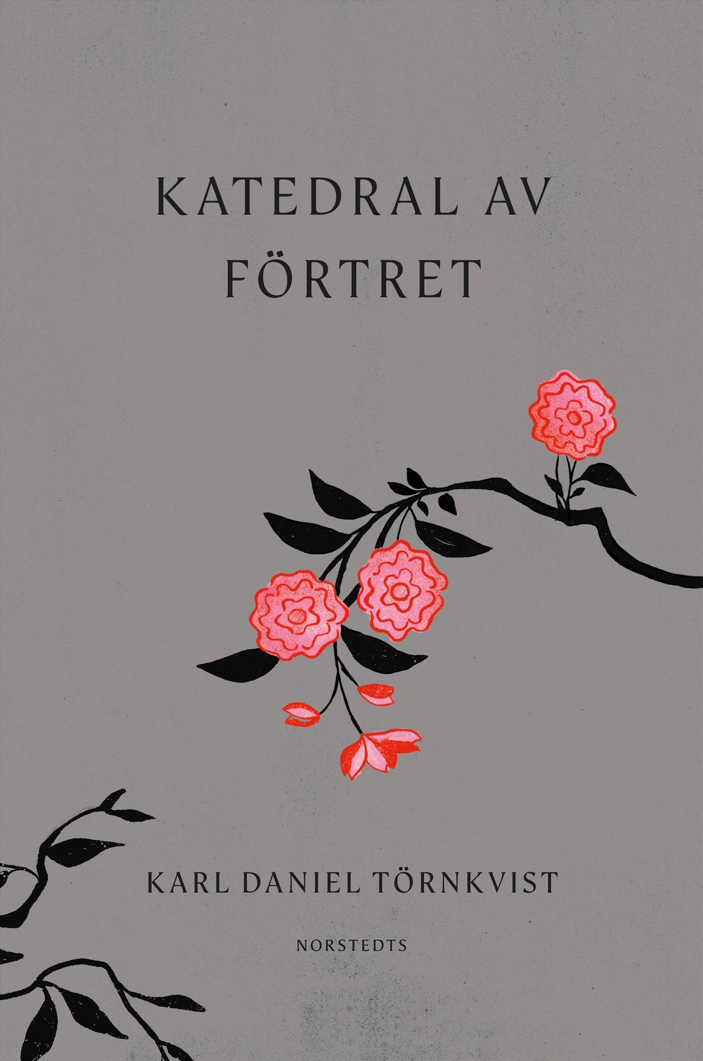 Katedral av förtret