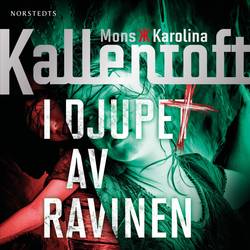 I djupet av ravinen