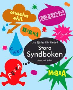 Stora Syndboken