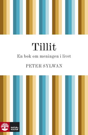 Tillit - en bok om meningen i livet