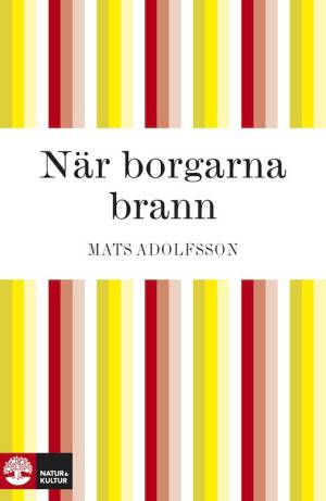 När borgarna brann
