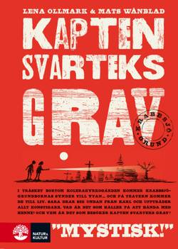 Kapten Svarteks grav