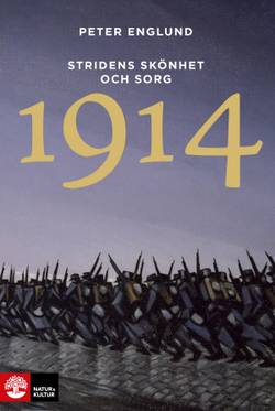 Stridens skönhet och sorg 1914 : första världskrigets första år i 106 korta kapitel