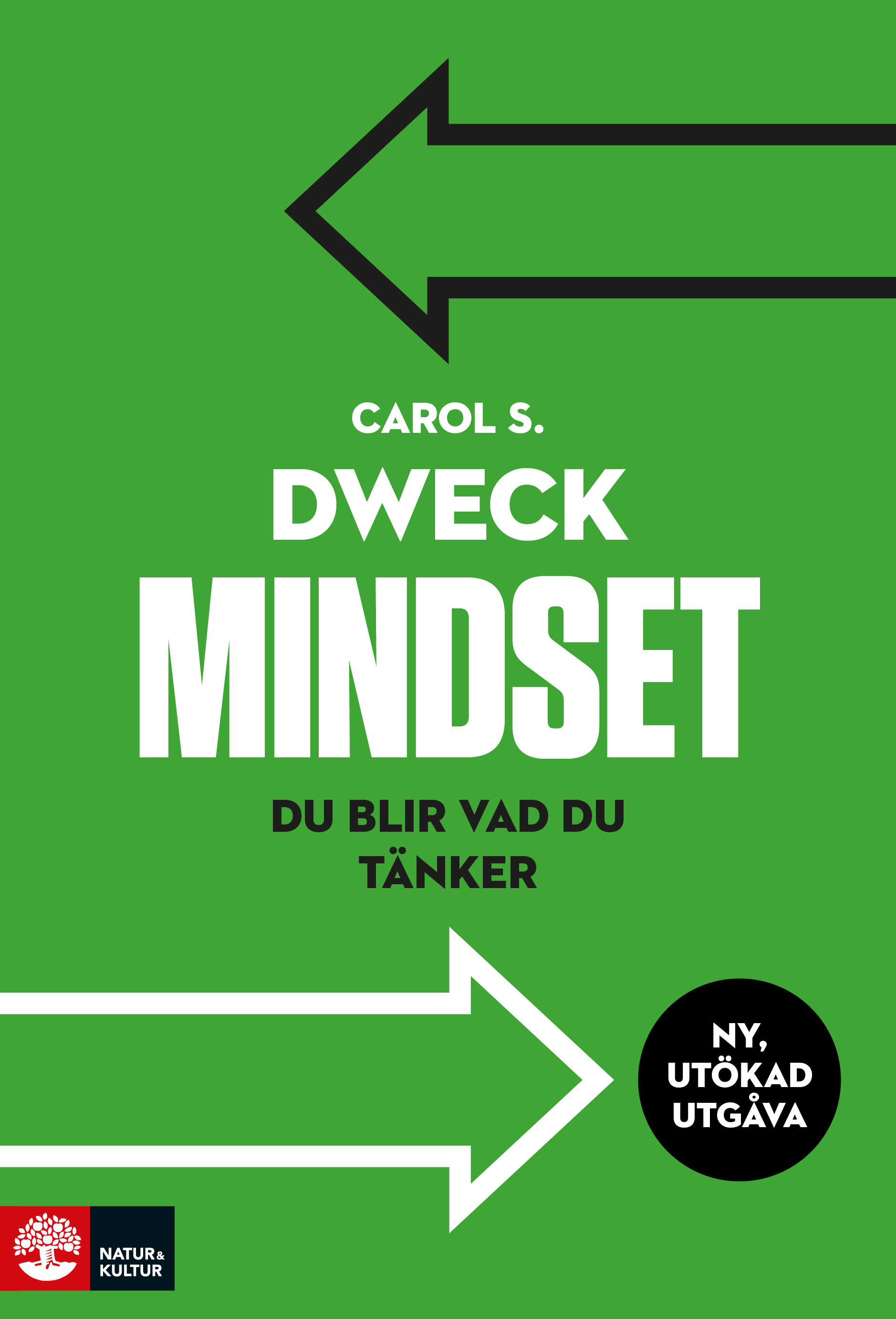 Mindset : du blir vad du tänker