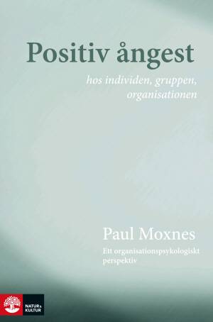 Positiv ångest hos individen, gruppen, organisationen : ett organisationspsykologiskt perspektiv