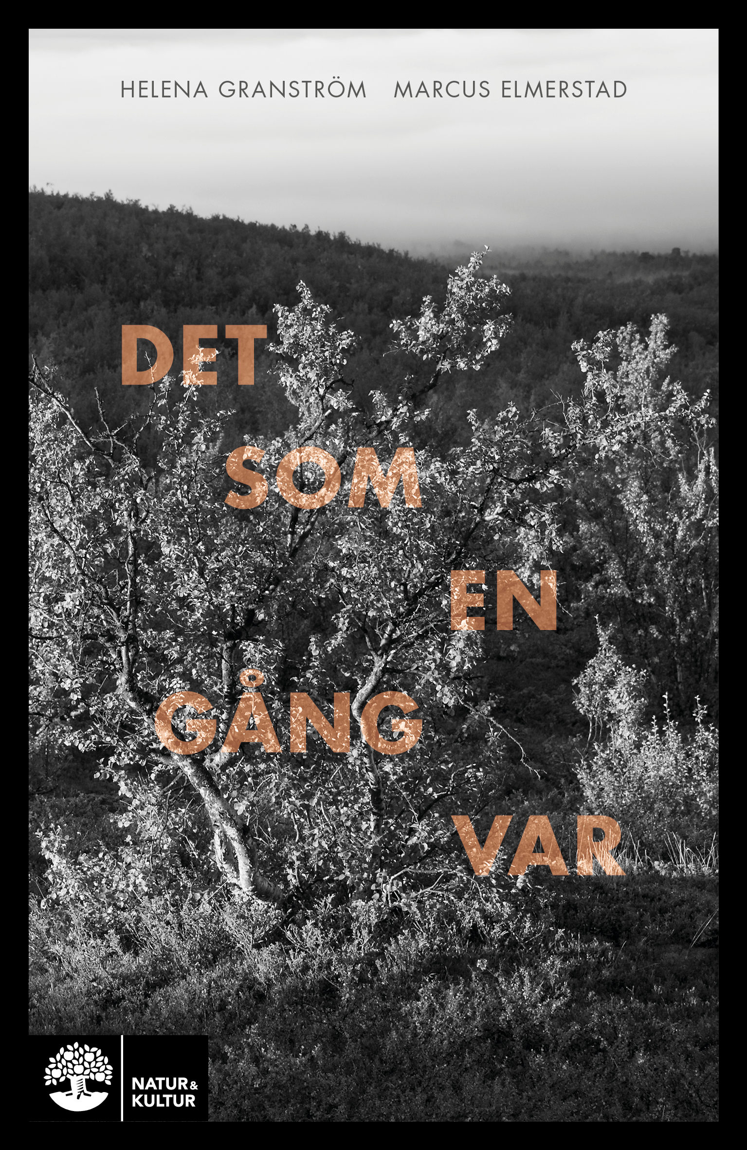 Det som en gång var