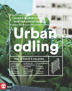 Urban odling : tak, terrass och balkong