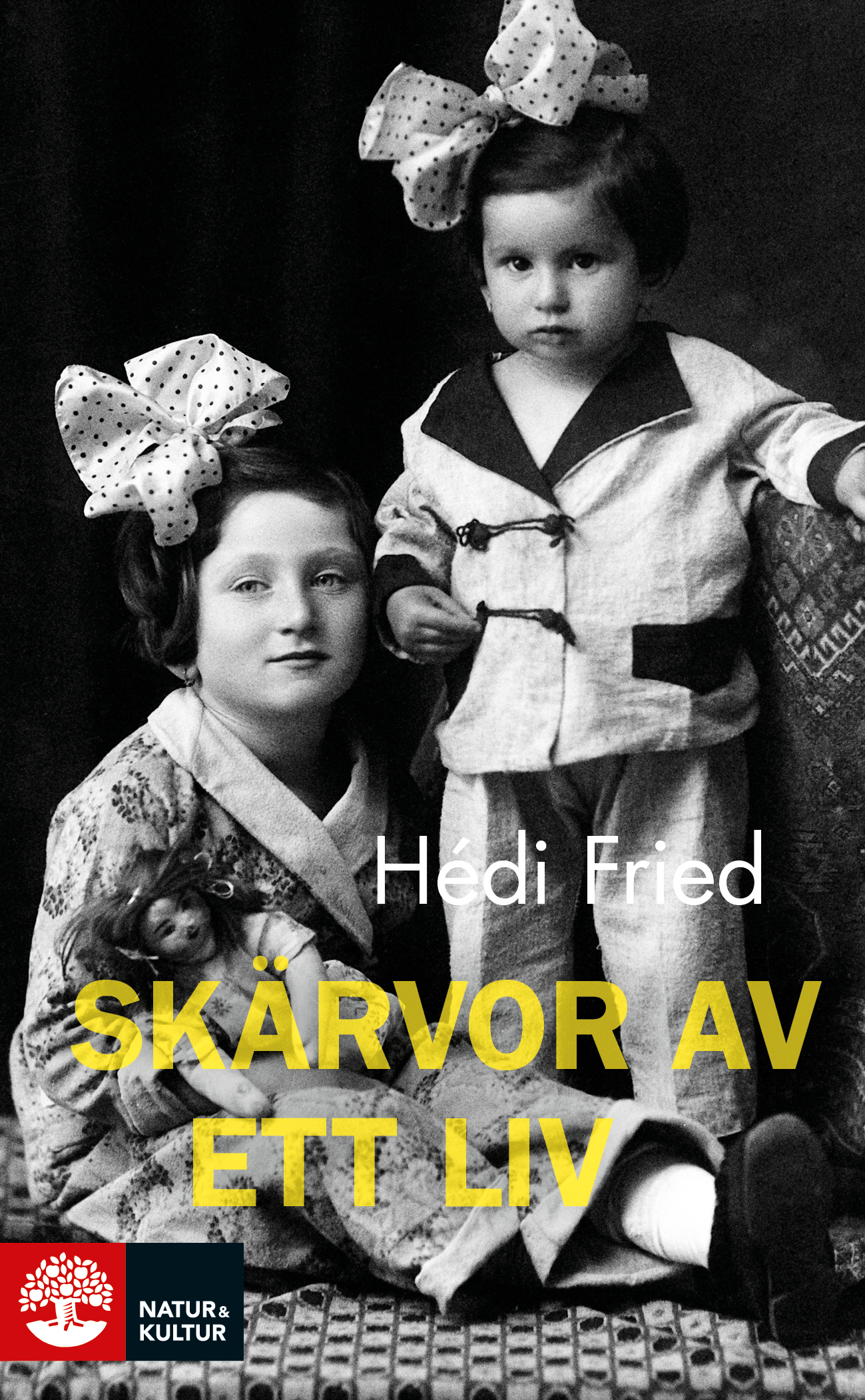 Skärvor av ett liv : vägen till och från Auschwitz