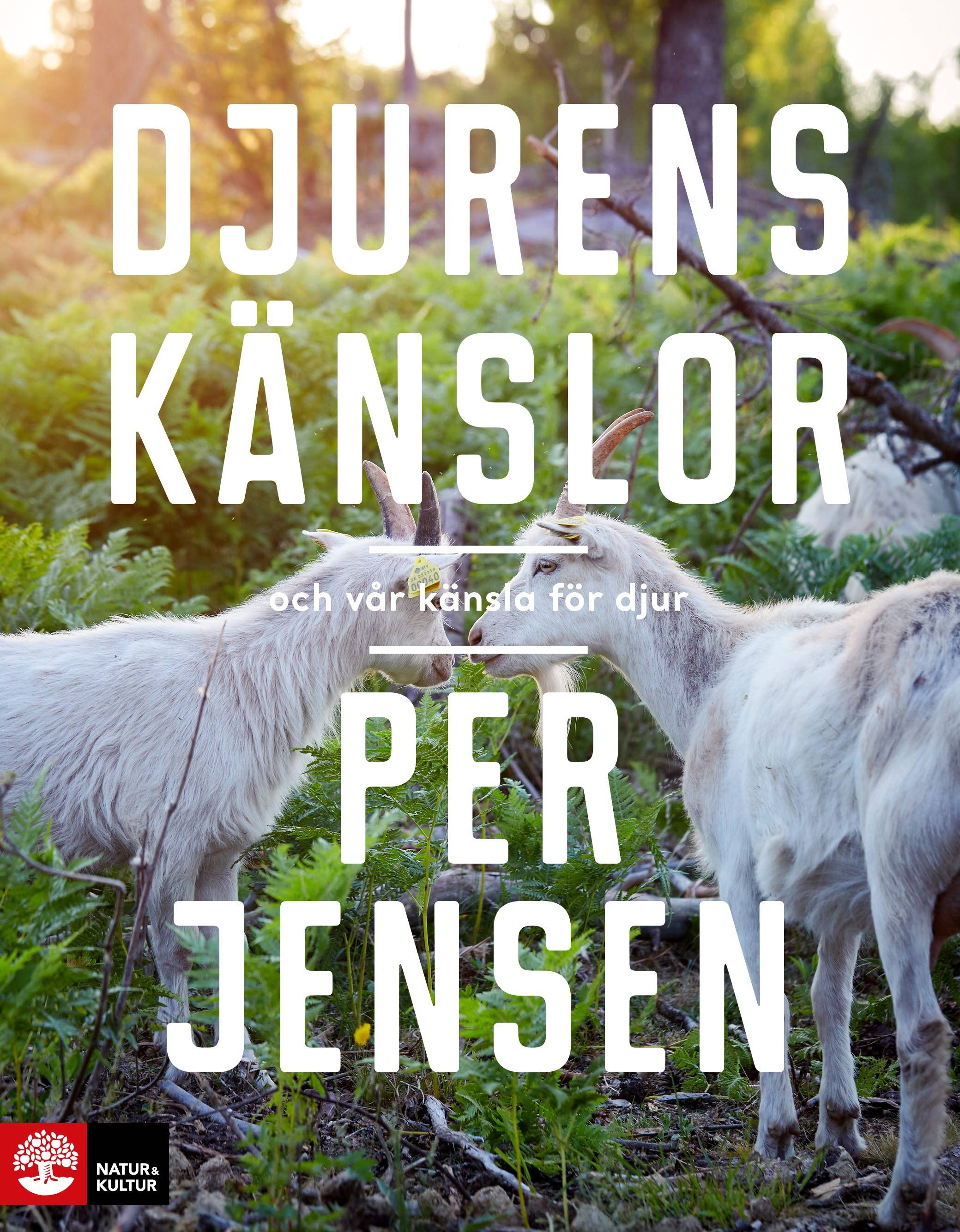 Djurens känslor