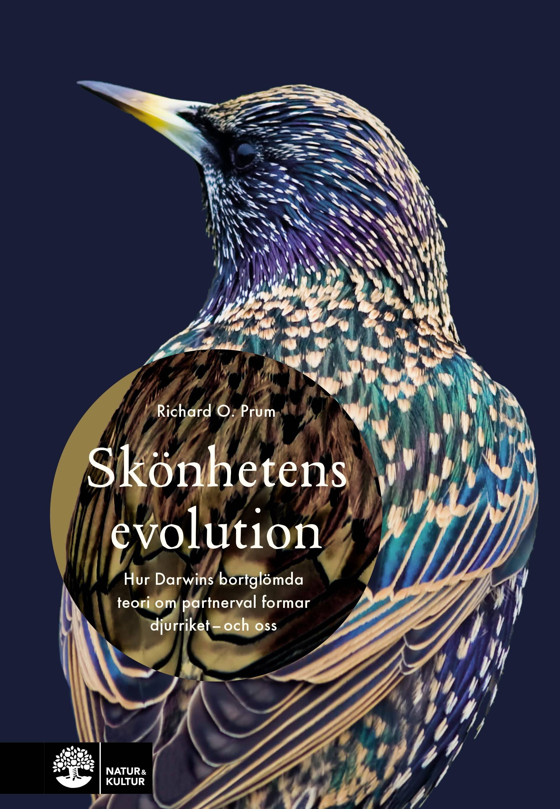 Skönhetens evolution : hur Darwins bortglömda teori om det sexuella urvalet formar djurriket - och oss