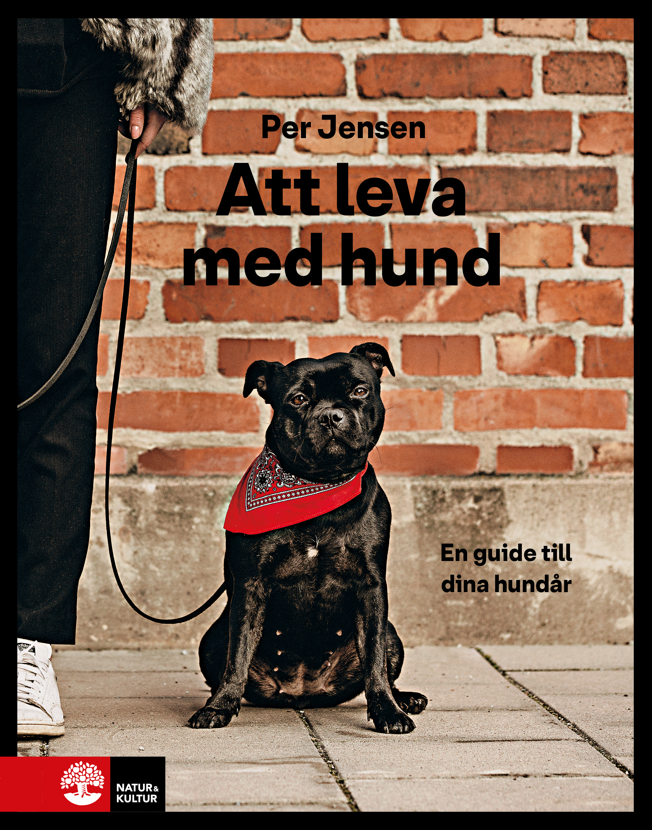 Att leva med hund : En guide till dina hundår