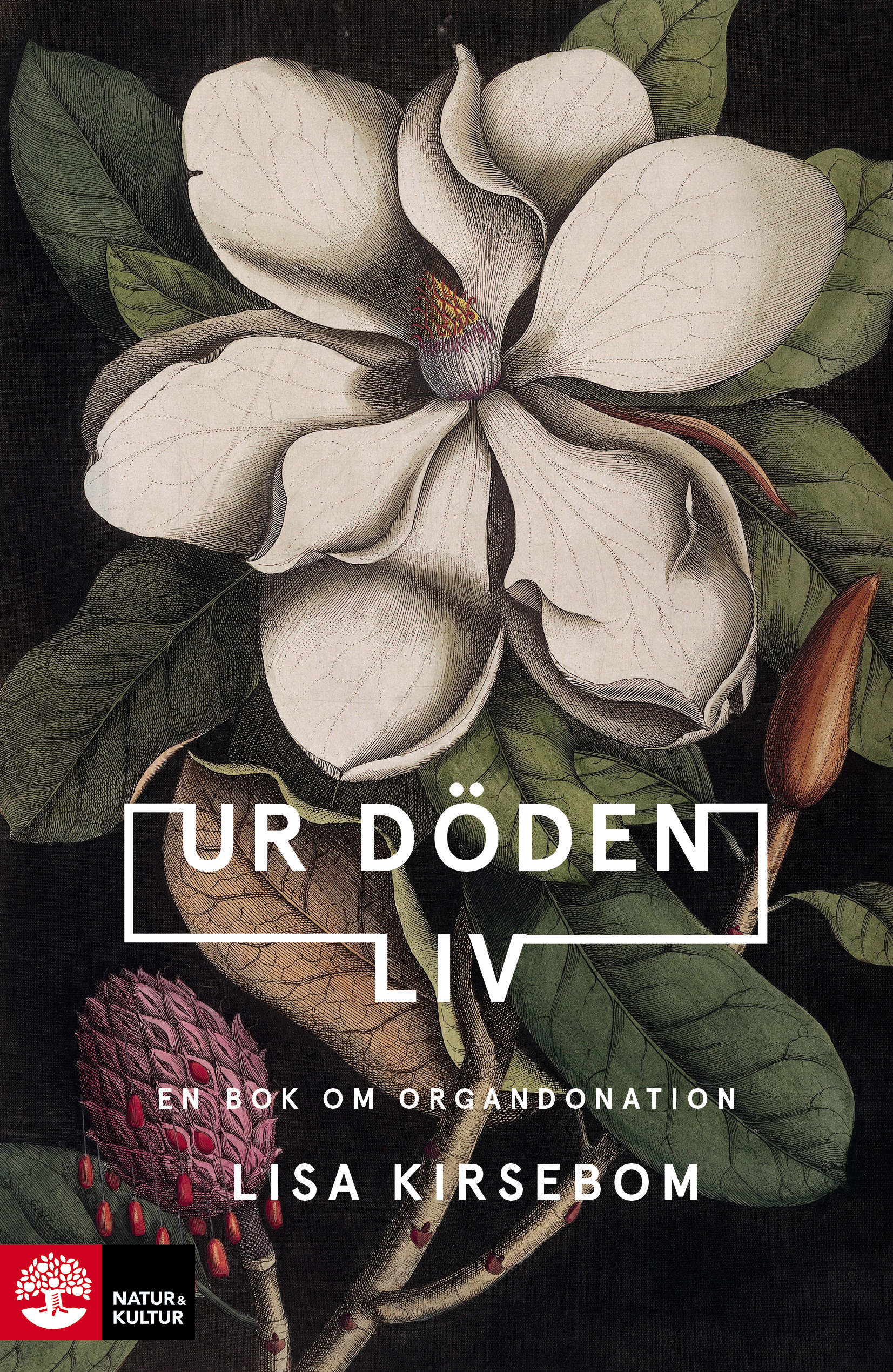 Ur döden liv : en bok om organdonation