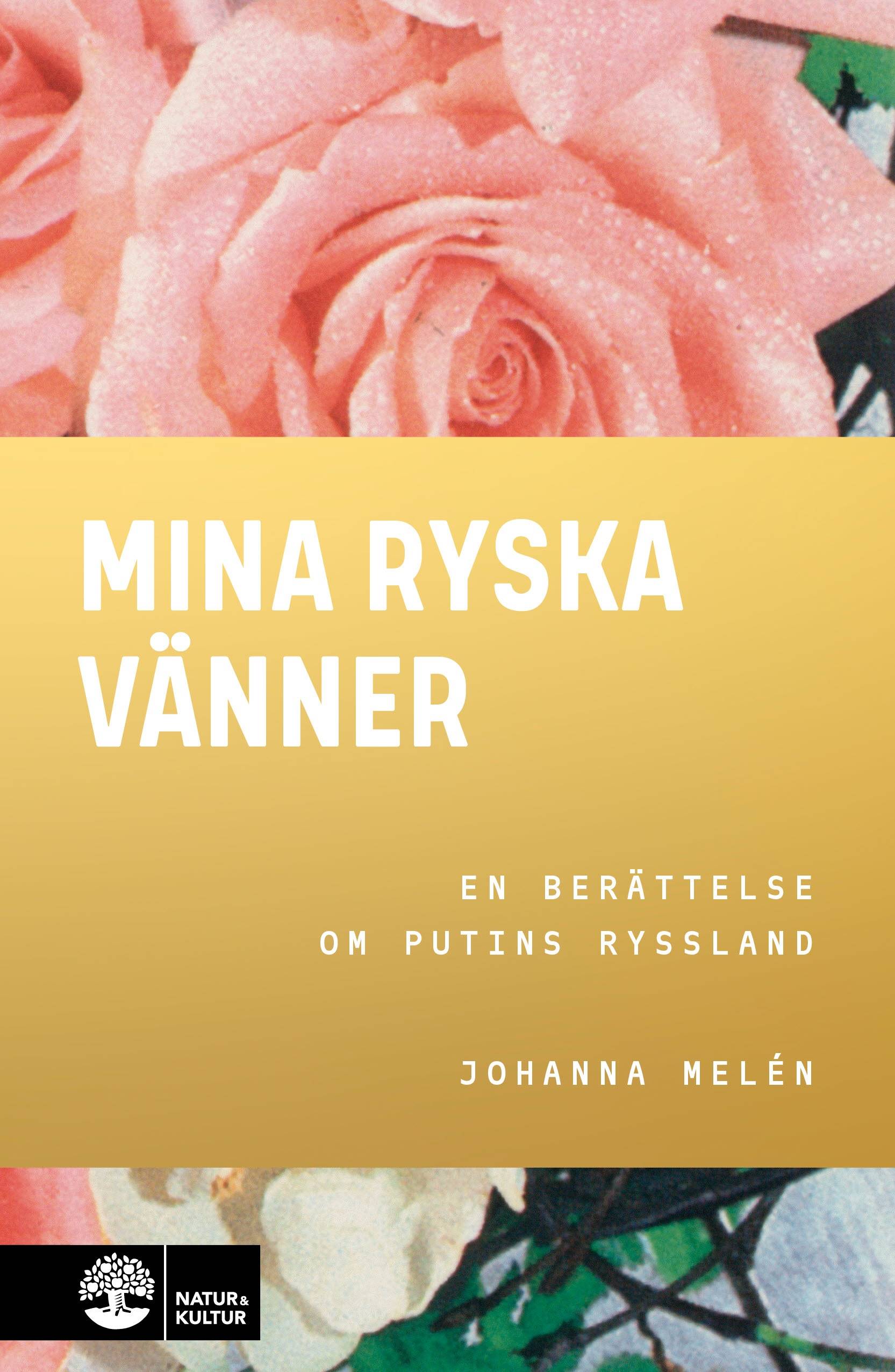 Mina ryska vänner : en berättelse om Putins Ryssland