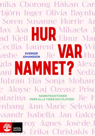 Hur var namnet? : namntraditioner från alla tider och platser