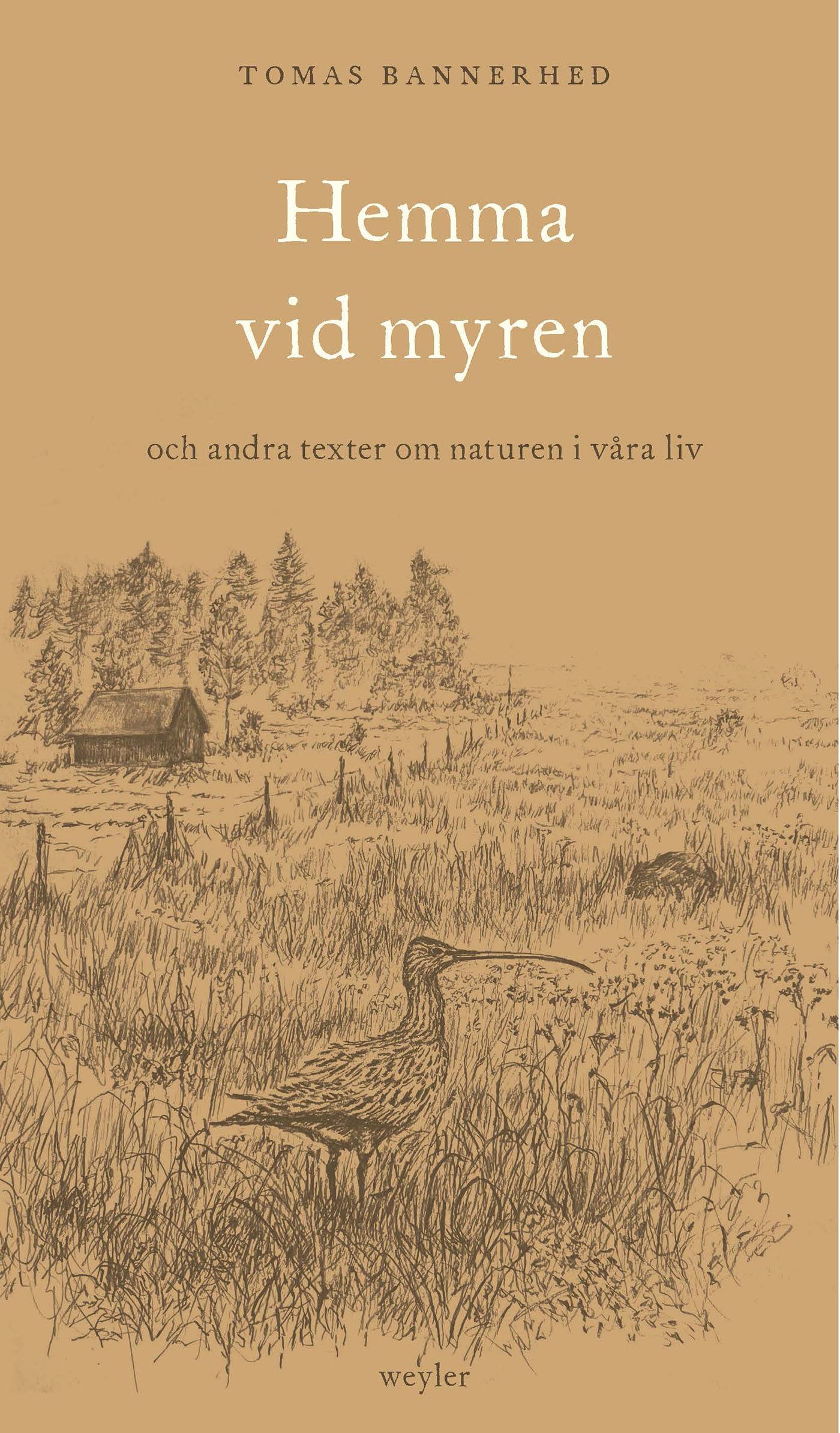 Hemma vid myren : och andra texter om naturen i våra liv