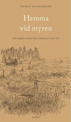 Hemma vid myren : och andra texter om naturen i våra liv