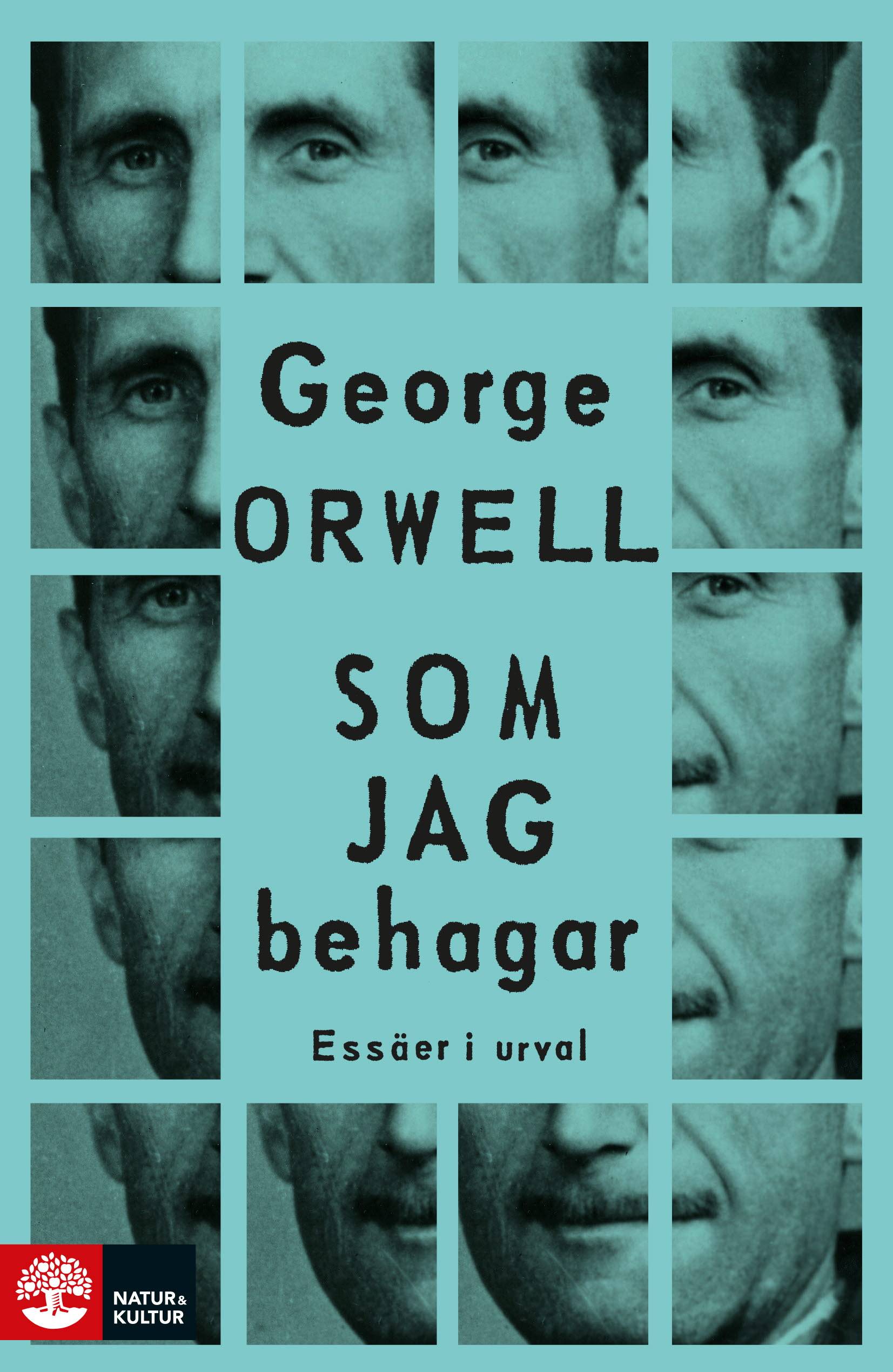 Som jag behagar : essäer i urval