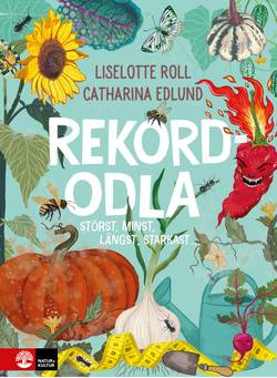 Rekordodla