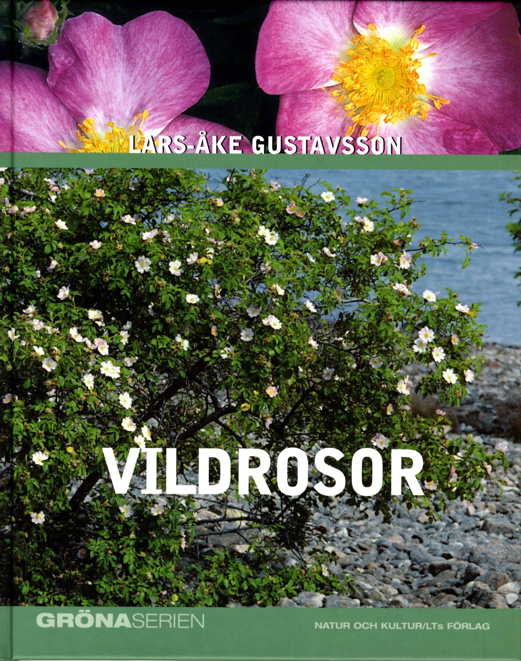 Vildrosor