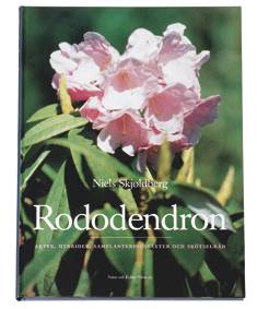 Rododendron : arter, hybrider, samplanteringsväxter och skötselråd