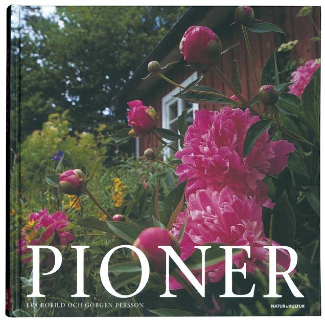 Pioner