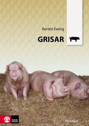 Grisar