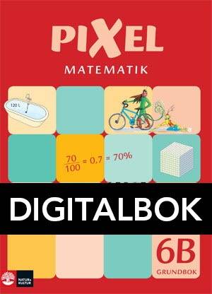 Pixel 6B Grundbok Digital