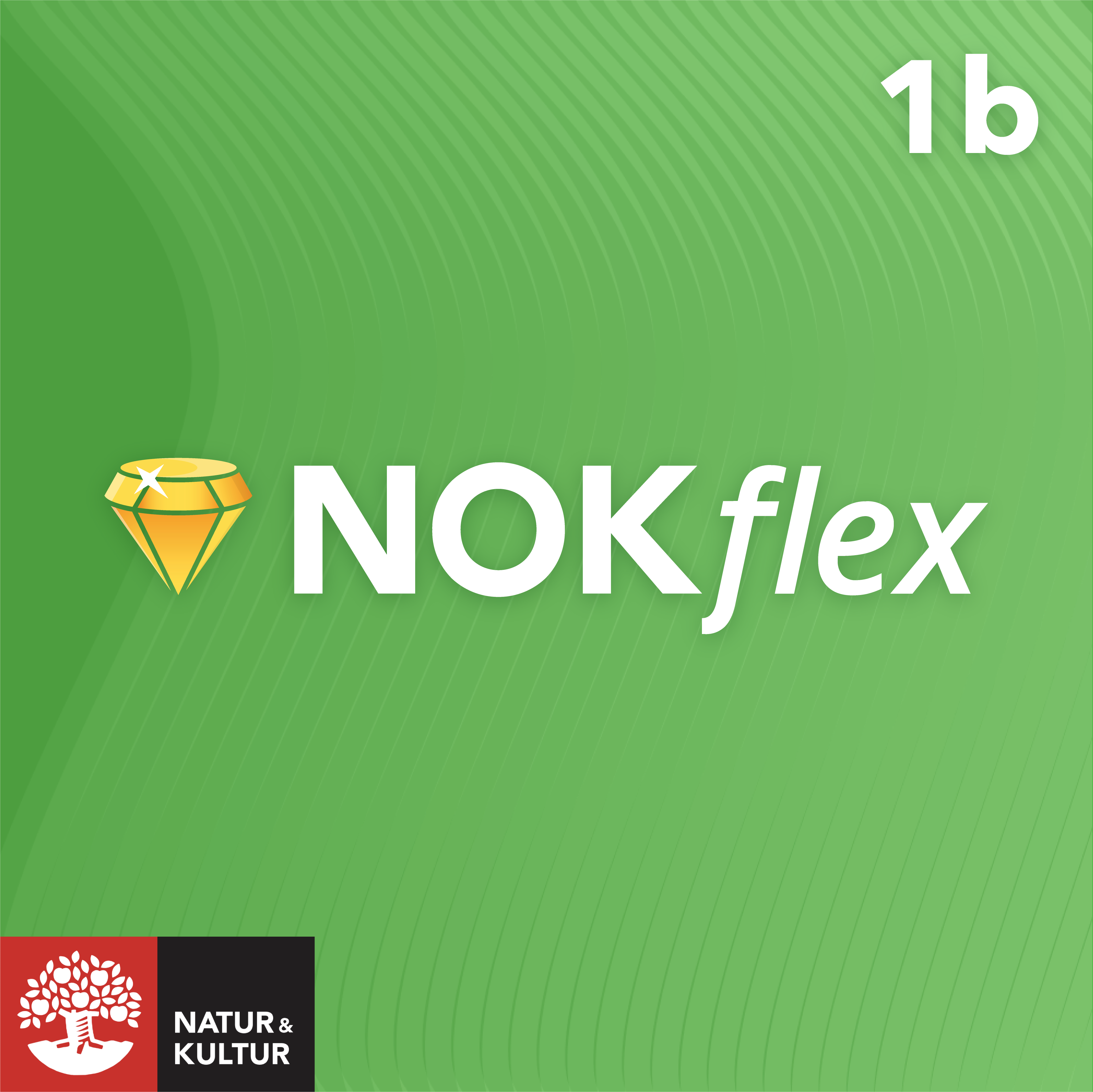 NOKflex Matematik 5000 Kurs 1b Grön
