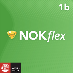 NOKflex Matematik 5000 Kurs 1b Grön