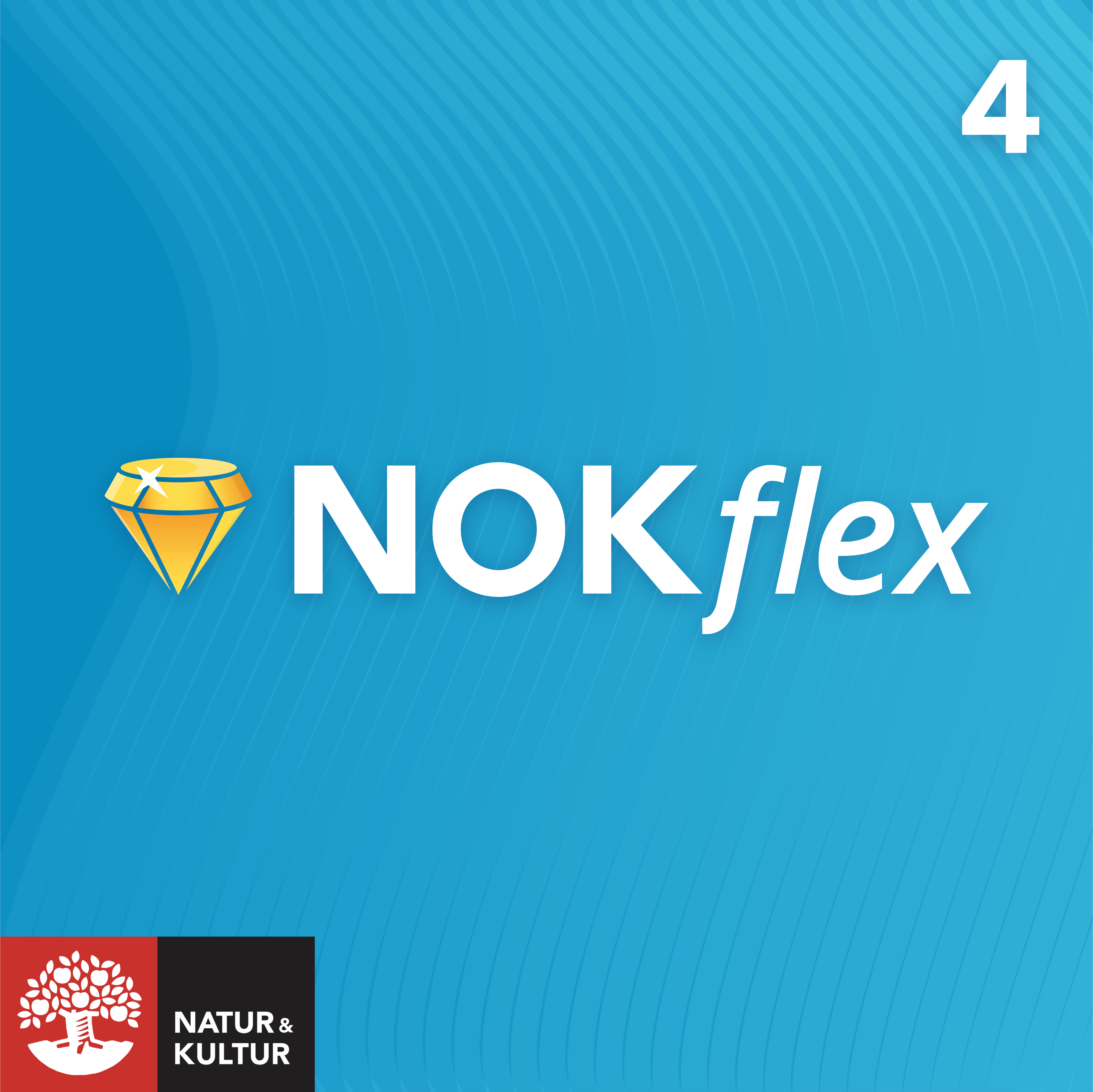 NOKflex Matematik 5000 Kurs 4 Blå