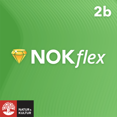 NOKflex Matematik 5000 Kurs 2b Grön