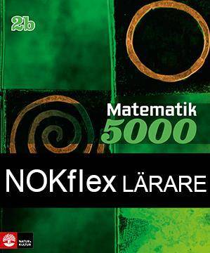 NOKflex Matematik 5000 Kurs 2b Grön, Lärare
