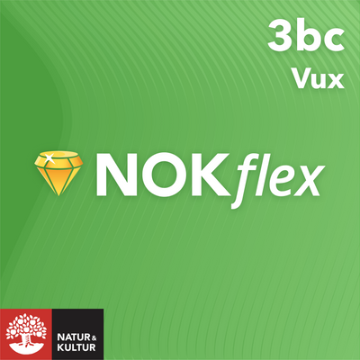 NOKflex Matematik 5000 Kurs 3bc Vux