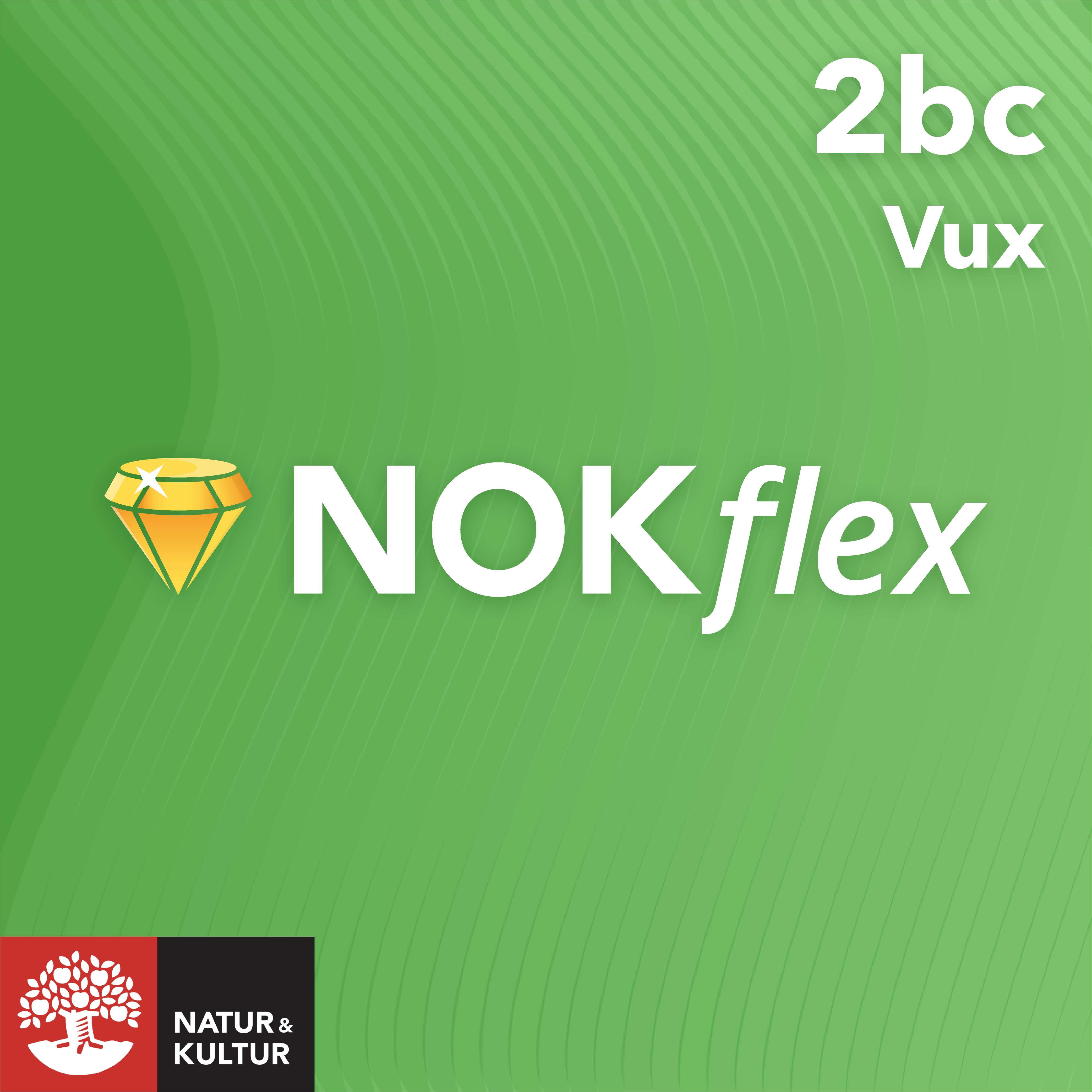 NOKflex Matematik 2abc Vux
